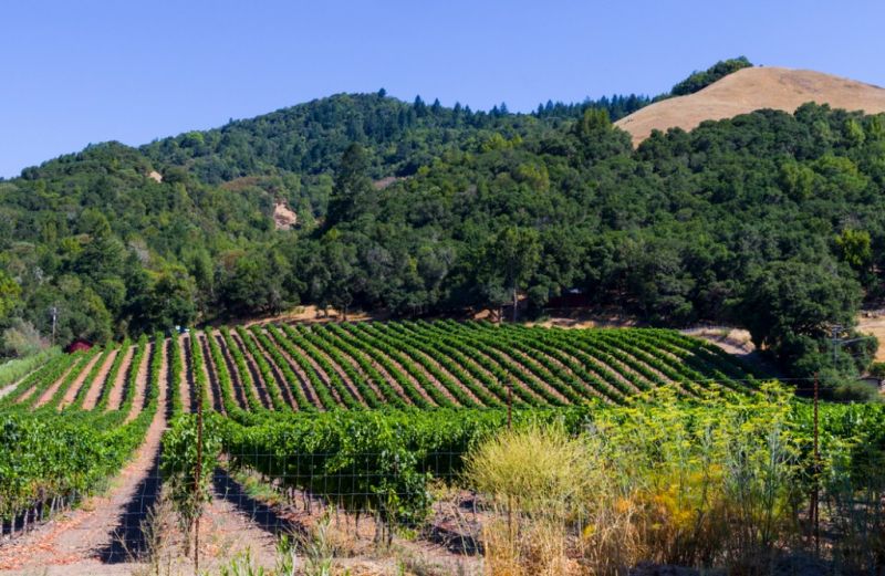 Local Basement Remodeling in Santa Rosa, CA