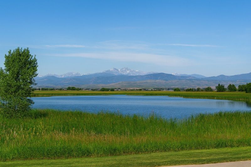 Local Commercial Restroom Renovation in Timnath, CO