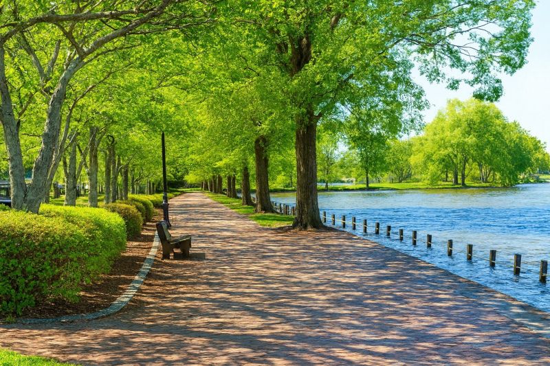 Local Commercial Restroom Renovation in Locust Grove, VA