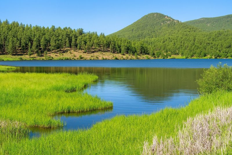 Local Commercial Restroom Renovation in Evergreen, CO