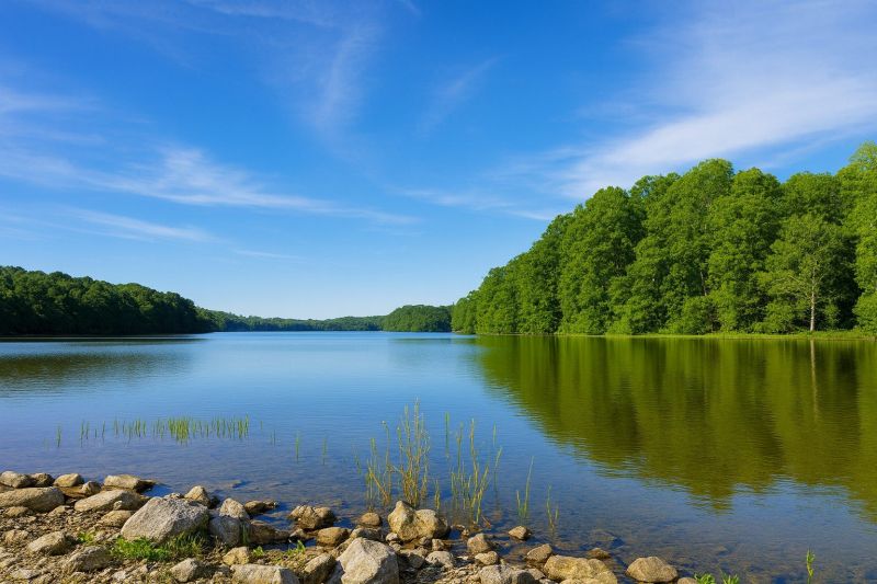 Local Commercial Restroom Renovation in Burke, VA