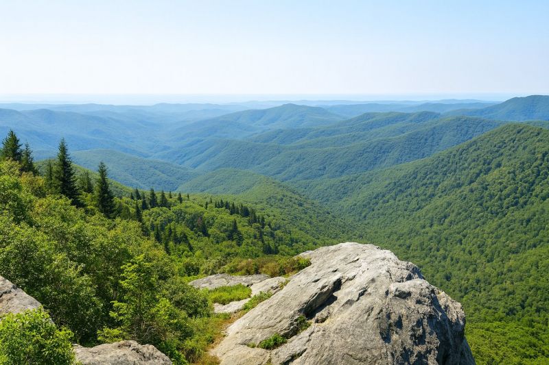 Local Commercial Restroom Renovation in Moseley, VA