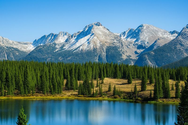 Local Disability Remodeling Service in Lafayette, CO