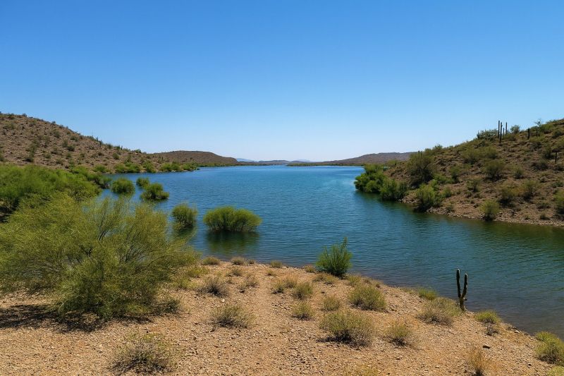 Local Industrial Bathroom Renovation in New River, AZ