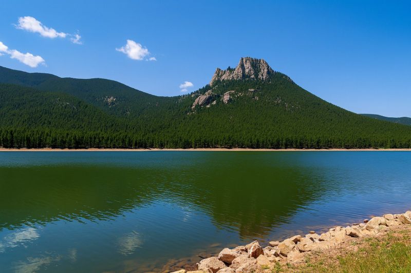 Local Office Restroom Renovation in Wellington, CO
