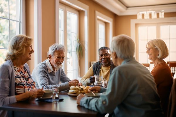 Senior Home Renovation Service